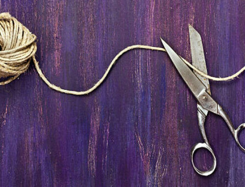 Cord Cutting for Beginners