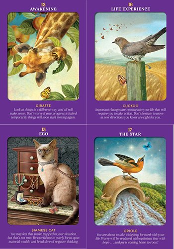 Animal Guides Tarot - Image 3