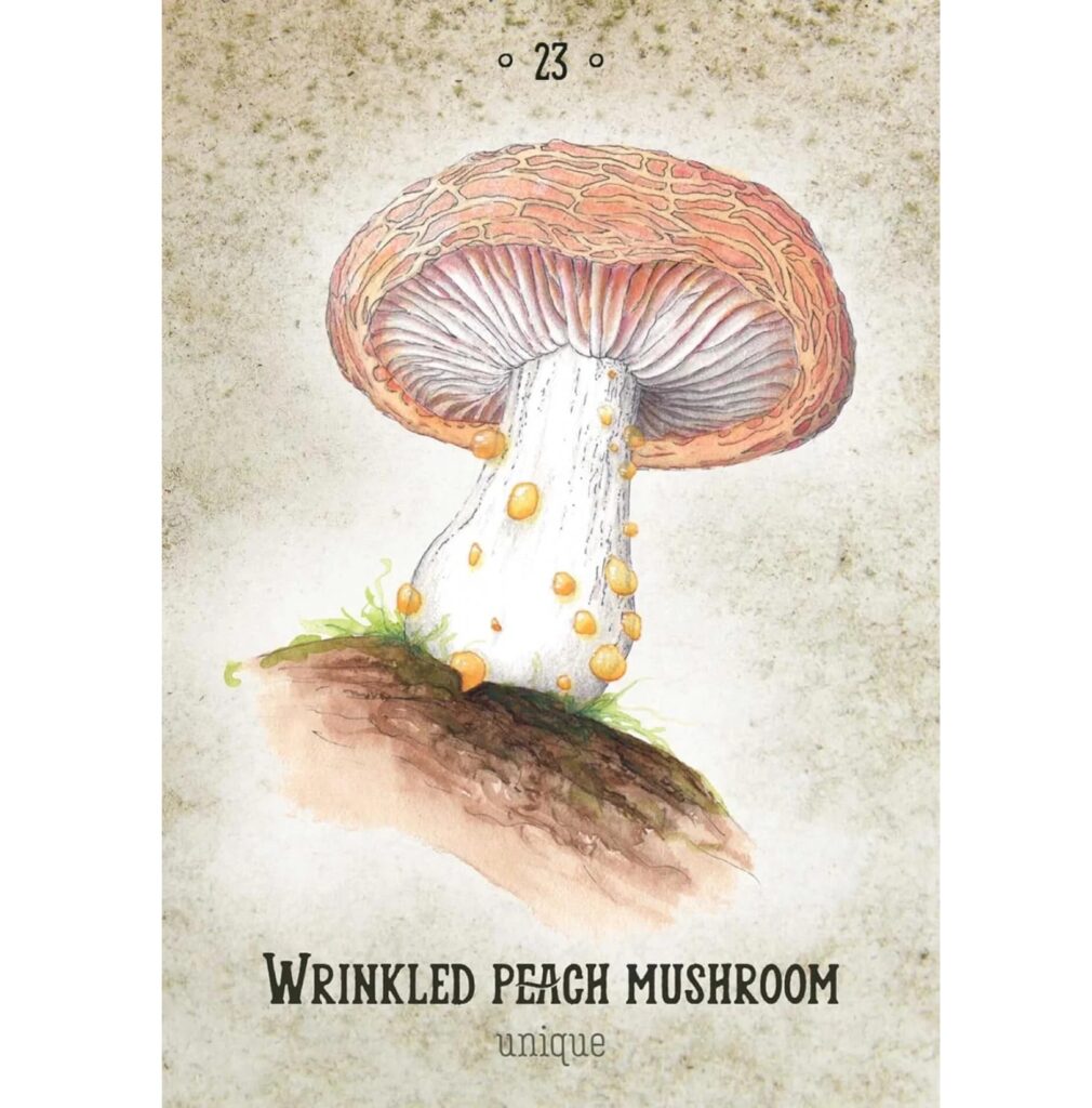 Mushroom Spirit Oracle - Image 3