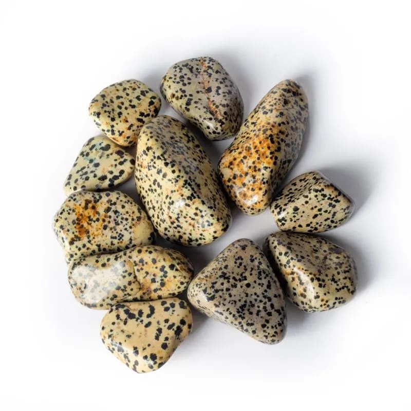 Dalmation Jasper Tumbled Stone (Large)