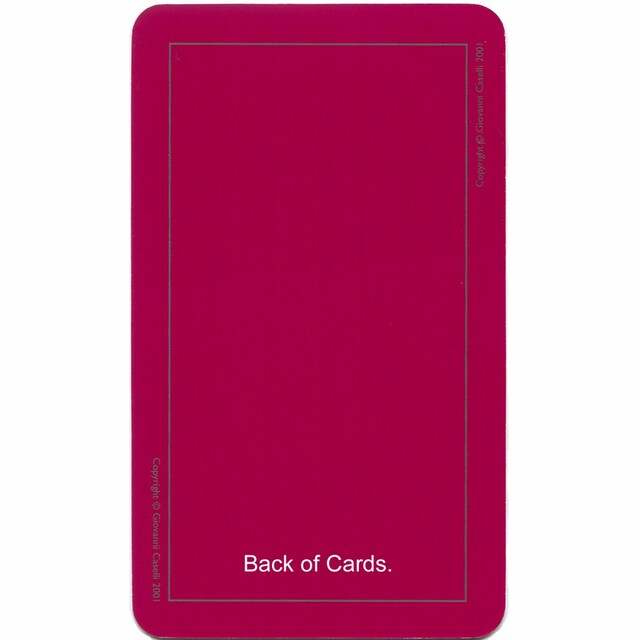The Sharman-Caselli Beginner's Guide to Tarot - Image 6
