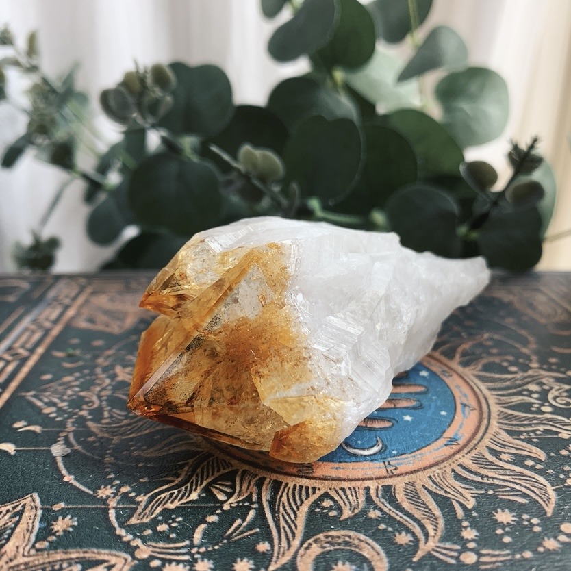Citrine Teeth (Extra Large)
