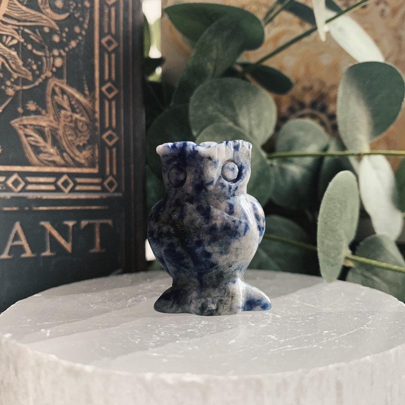 Sodalite Owl