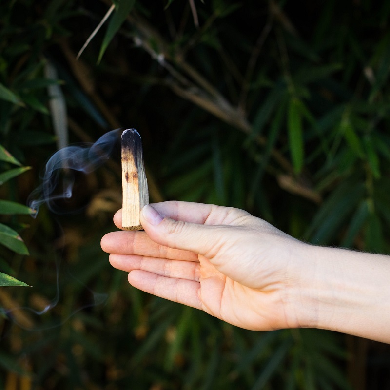 Palo Santo - Image 2