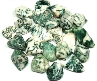 Tree Agate Tumbled Stone
